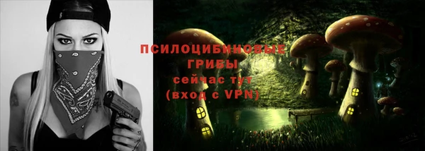 а пвп мука Бугульма