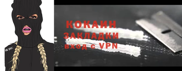 не бодяженный Бородино