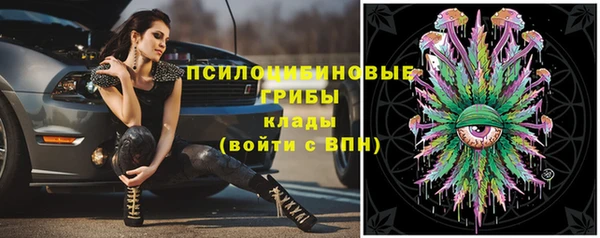 не бодяженный Бородино