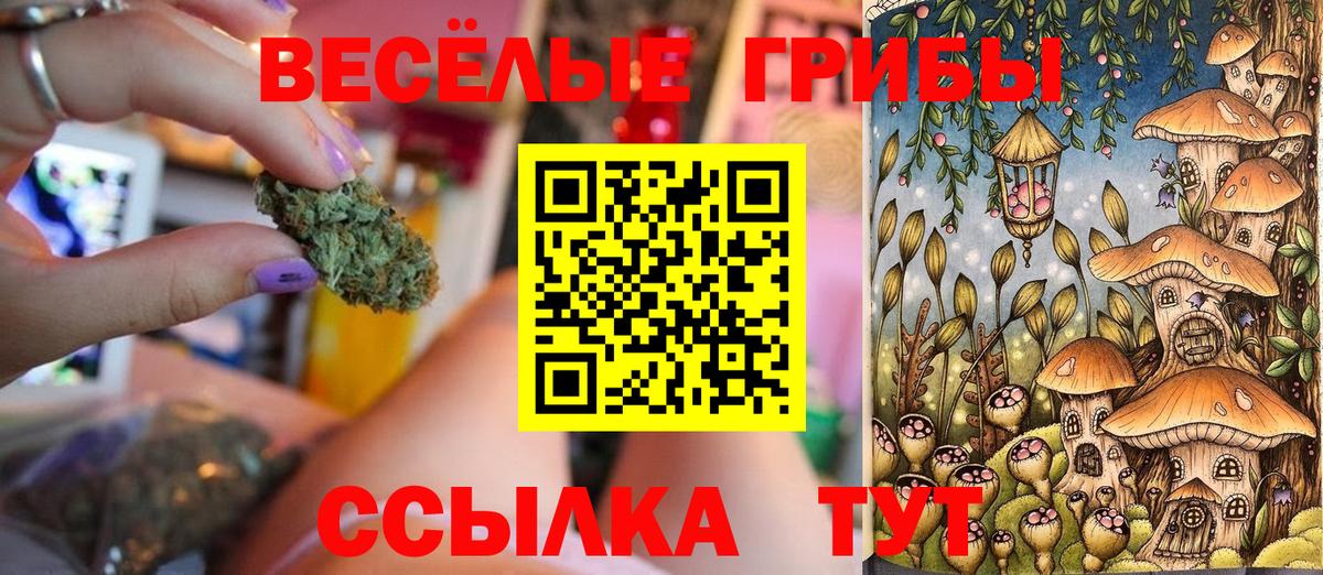 Галлюциногенные грибы Psilocybe Воркута