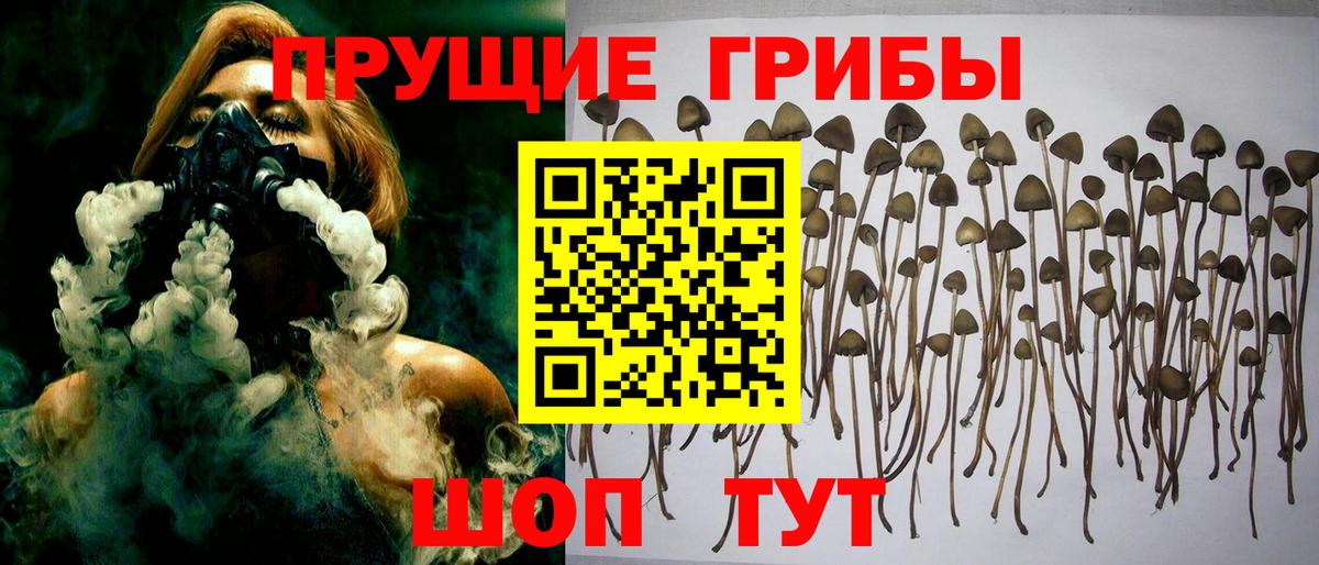 Псилоцибиновые грибы Psilocybine cubensis  Псилоцибиновые грибы мицелий  Воркута  Вход с VPN 